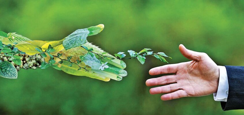 Vi tager ansvar for miljøet