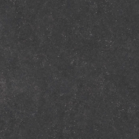 European Black
