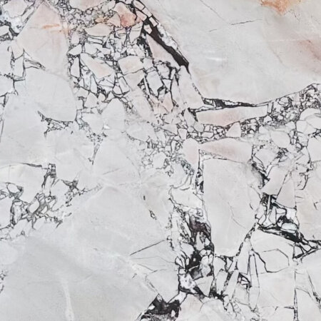 Vaticano - Specialsten